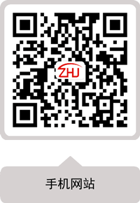 查看手機(jī)站